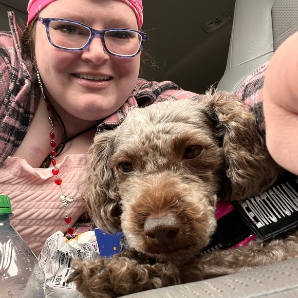 Meet your Posher, Miss Honey - Picture 9 of 13